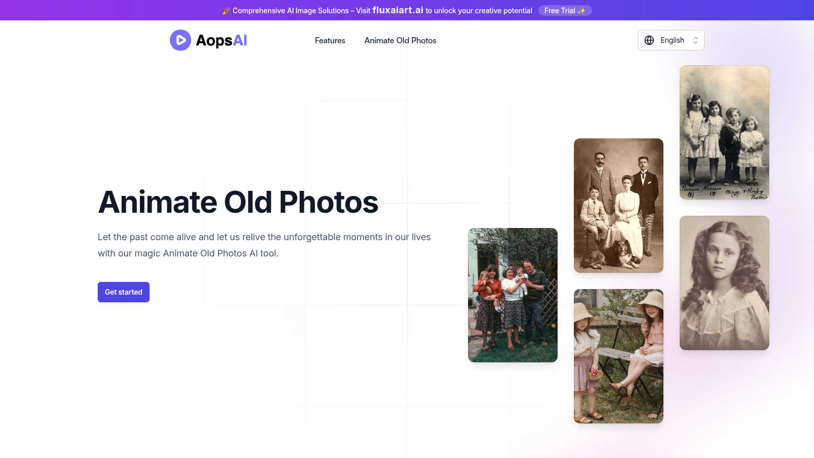 AopsAI application interface and features