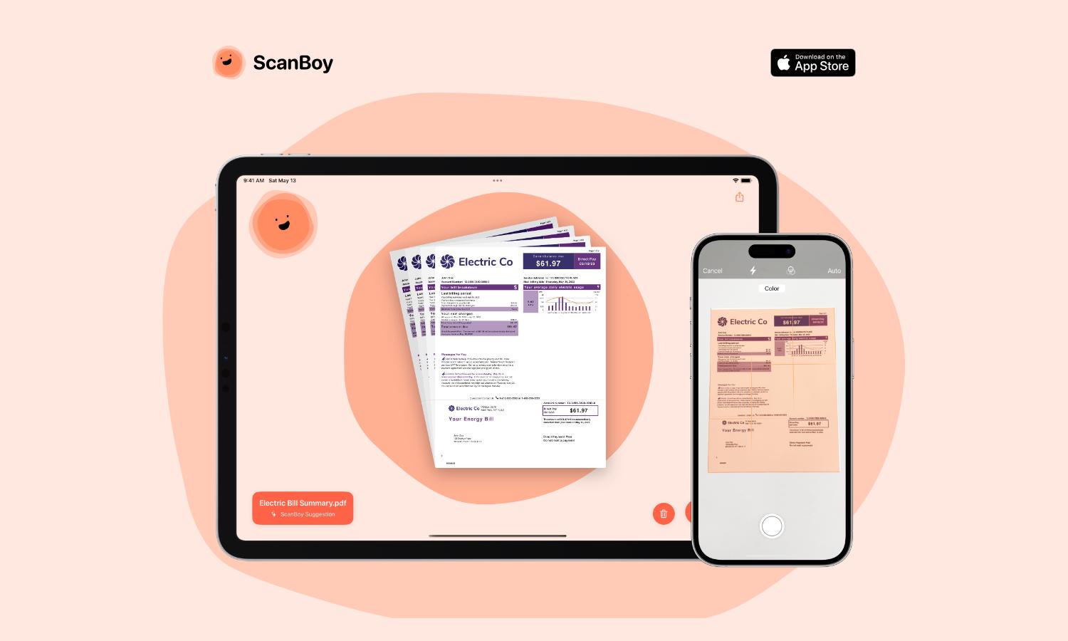 ScanBoy Website